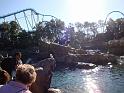 Sea World-5